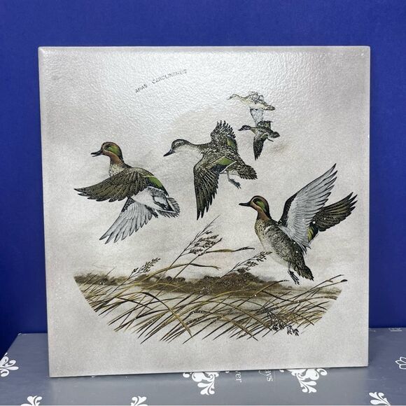 Ceramic 8x8 Green- Winged Teals Art Tile Trivet Mexico Anas Carolinensis - Picture 1 of 6